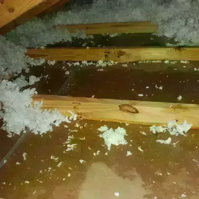 Attic Water Damage in Halifax, MA